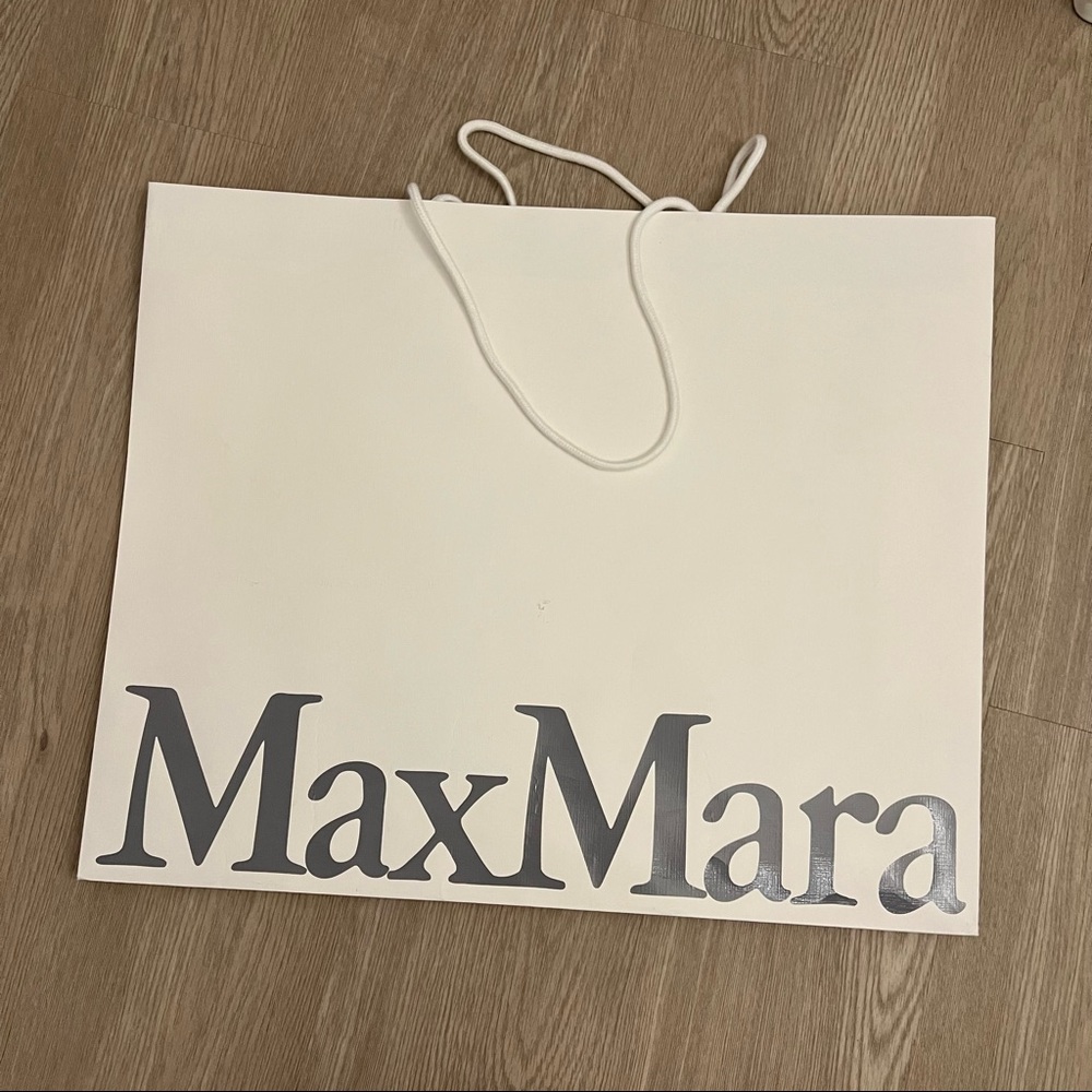 Max Mara bag